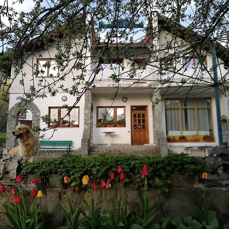 Самостоятелни Стаи В Къща За Гости Балкан Ribarica Exterior photo