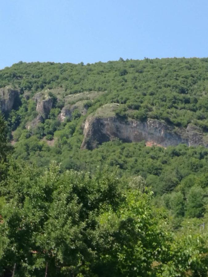 Самостоятелни Стаи В Къща За Гости Балкан Ribarica Exterior photo